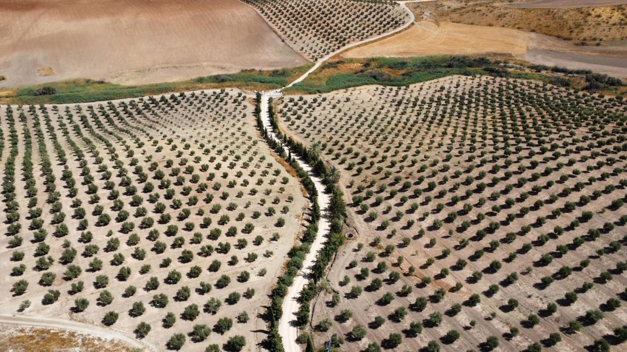فيلا Cortijo Donana لا بويبلا دي كازالا المظهر الخارجي الصورة
