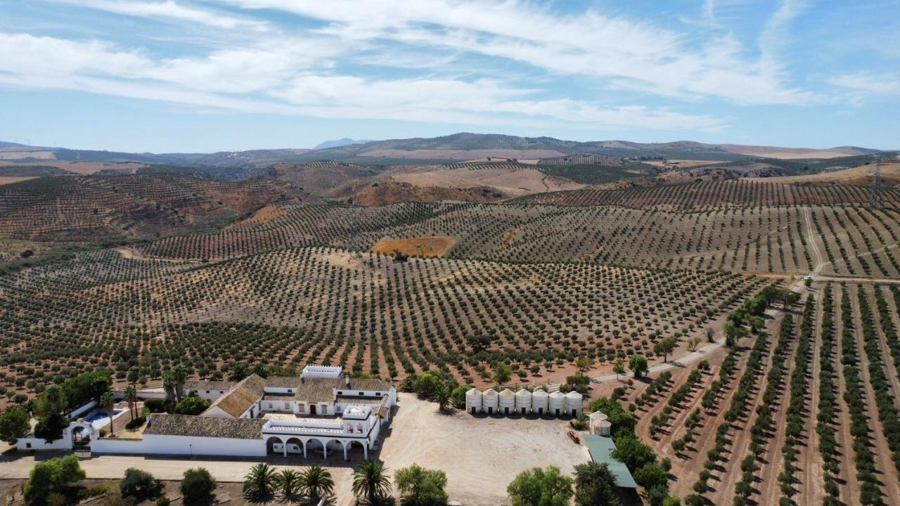 فيلا Cortijo Donana لا بويبلا دي كازالا المظهر الخارجي الصورة
