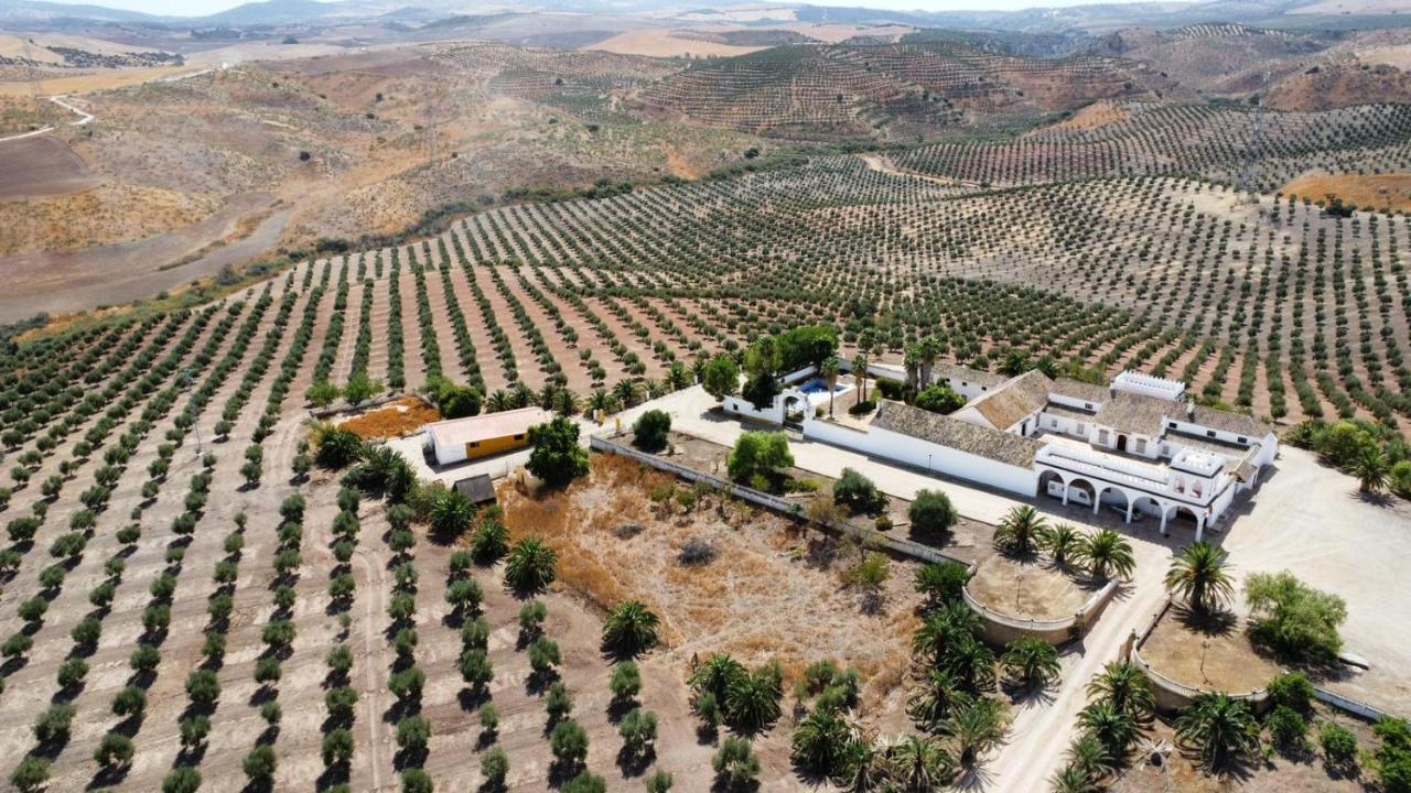 فيلا Cortijo Donana لا بويبلا دي كازالا المظهر الخارجي الصورة