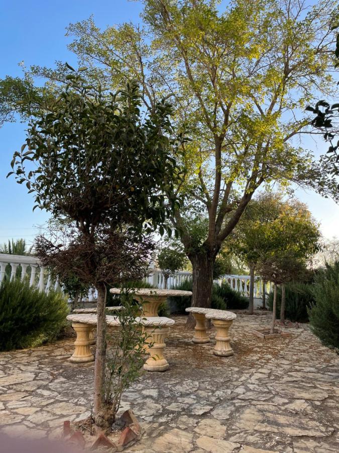 فيلا Cortijo Donana لا بويبلا دي كازالا المظهر الخارجي الصورة